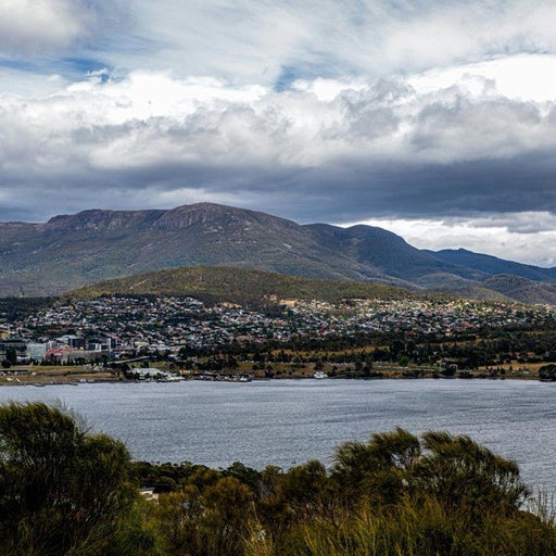 100M Abseil - We Wander