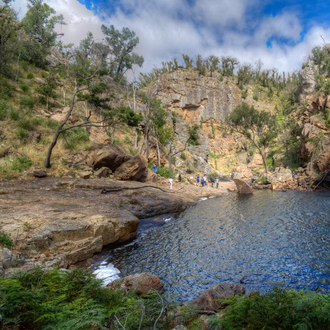 Wildlife Tours Australia: 1 Day Hunter Valley Winery Tour - Sydney