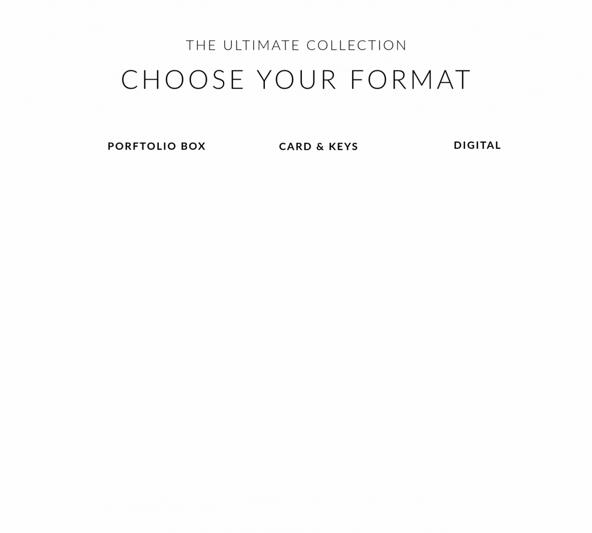 Ultimate - Experience Portfolio for business