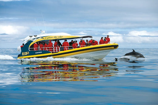 Bruny Island Cruises Full Day Tour From Hobart - We Wander