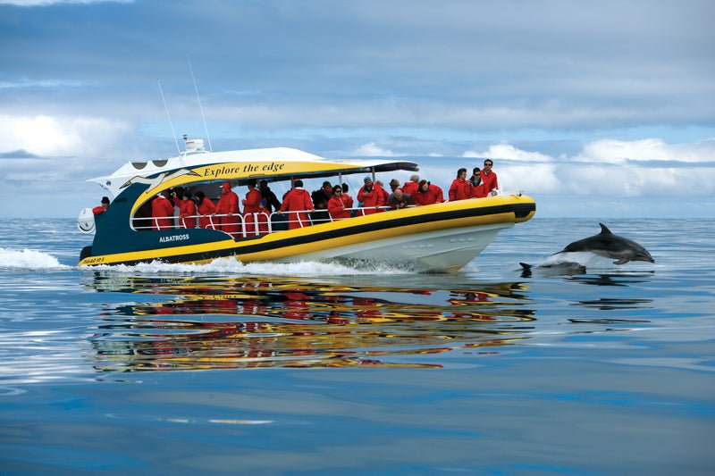Tasman Island Cruises Full Day Tour From Hobart - We Wander